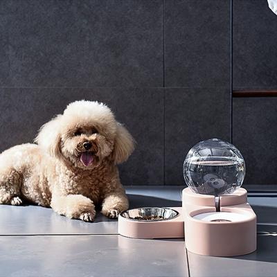 China Wholesale Automatic Pet Food Innovative Eco-Friendly Double Feeder Modern Design Modern Design Cat Water Dog Bowl Steel Luxury for sale