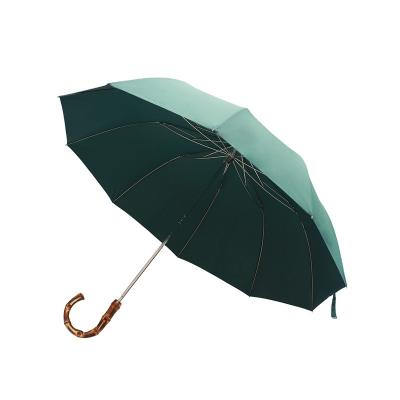 China Minimalist 21 Inch 2 Fold Umbrella Custom 2 Fold Manual Open Umbrella for sale