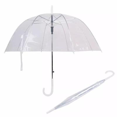 China CLASSIC POE OEM ODM Ladies Clear Dome Straight Wedding Umbrella for sale