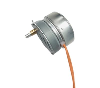 China Manufacturer Direct Selling Hysteresis Synchronous Motor Totally Enclosed Standard Synchronous Motor 230V/240 for sale