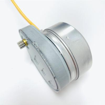 China Manufacturer Direct Selling Hysteresis 5W Synchronous Motor Totally Enclosed Standard Synchronous Motor for sale