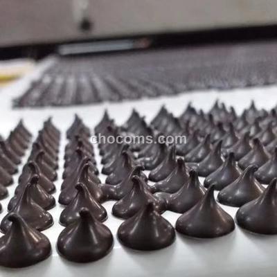 China High Precision Chocolate Chips Making Automatic Chocolate Lozenge Depositor Machine For Sale for sale