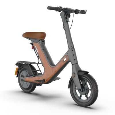 China 2021 New Arrival 120 Kg 25km/h 48v 10.4ah Luxury Electric Bike With Switchable Li Battery for sale