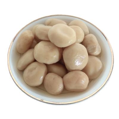 China 200ml Canned Canned Mushroom Packing In Jar With Fresh Whole Grade A Button Mushrooms for sale