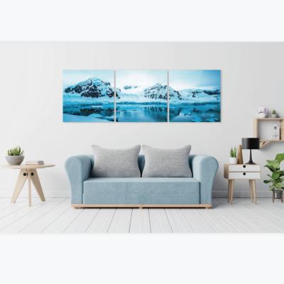 China Abstract professional manufacturer for acrylic canvas wall arts for sale