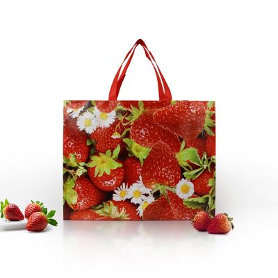 China China factory direct non woven sack bag custom eco-friendly manufacturer for sale