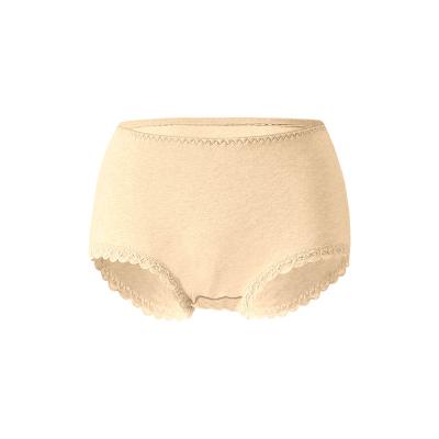 China High Quality Breathable Seamless Breathable Underwear Ladies Briefs Lace Butt Lift Panties Hot Panties for sale