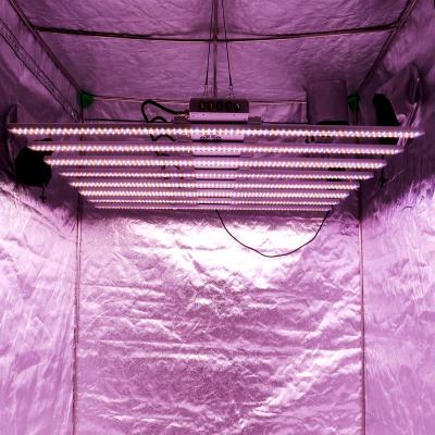 China Seed Starting 5 Spectrum LM301H IR 460nm UV 660nm 4000K Led Growing Light Coverage Full Spectrum For Indoor Farm for sale