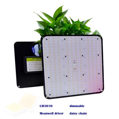 China Seed Seeding Samsung LM301H LED Grow Light Board 3500K 5700K 660nm IR UV Grow Tent for sale