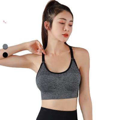 China Breathable QUICK DRY Quick Dry Bra Yoga Sports Bra Without Rims Women Wire Free Bra for sale