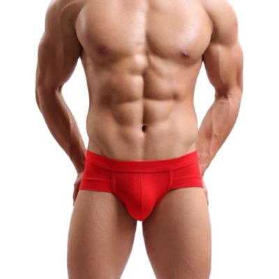 China Men Antibacterial Underwear Modal Breathable Sexy Briefs for sale