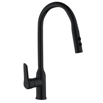 China Pull Out Spray Factory Manufacture Various Modern Flexible Pull Out Kitchen Faucet For Home for sale