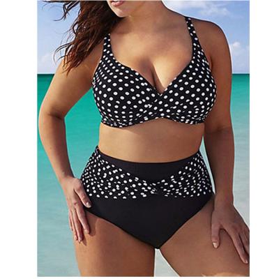 China Customized Breathable Logo Your Design Dot Printed Women Ladies Plus Size 2 PC Bikini Set Swimsuit Swimwear for sale