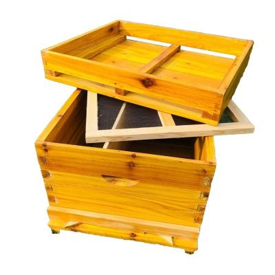 China High Quality Bee Farm Radiata Pine Wood Beehive Beekeeping Beekeeping Equipment Double Hive for sale