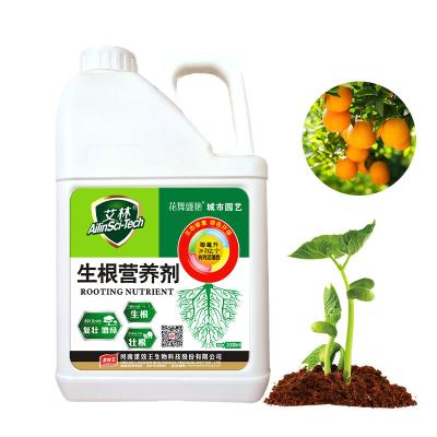 China 10% K2o Humato de Potássio Fertilizante para o Crescimento das Raízes de Plantas Horticulturais à venda