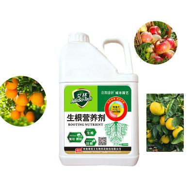 China Improvizador de suelo potenciador del crecimiento de las plantas potenciador de nutrientes en venta