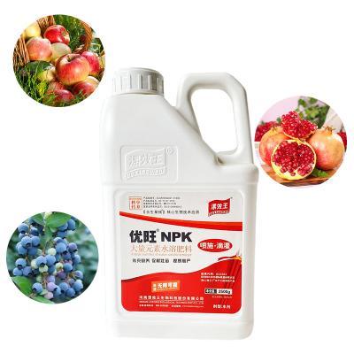 China Fertilizante compuesto NPK balanceado soluble en agua 19-19-19 con oligoelementos en venta