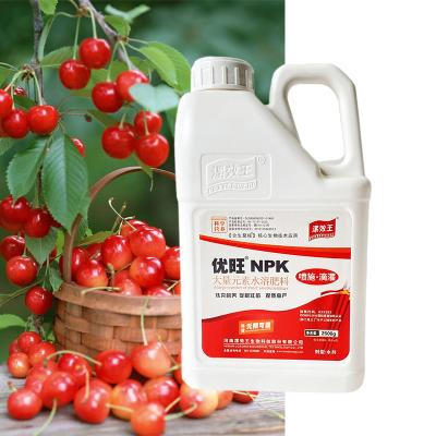 Chine NPK 19-19-19 Soluble dans l'eau NPK engrais pour légumes et fruits à vendre