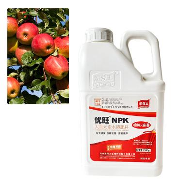 China Fertilizante orgánico 100% soluble en agua OEM ODM 19-19-19+Te NPK en venta