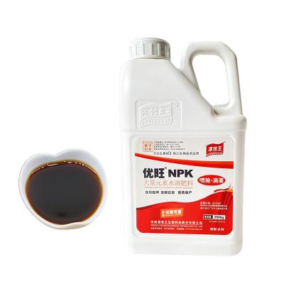 中国 農産物 NPK 水溶性肥料 海藻抽出粉々植物 海藻肥料 NPK19-19-19 販売のため