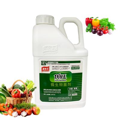 China Liquid Microbial Inoculant Organic Fertilizer From Chinese Soil Treatment Agents for sale