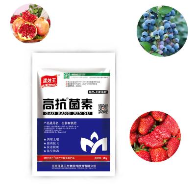 China Fertilizante de mistura de liberação lenta Nutriente vegetal Grânulos de ácido húmico para NPK Fertilizante de mistura de ureia à venda