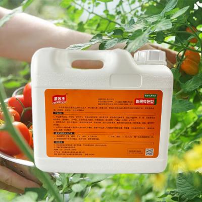 China Highly Concentrated Water Soluble Liquid Fertilizer NPK With Comprehensive Nutrition for sale