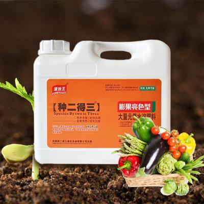 China 5kg Affordable Water Soluble Lawn Fertilizer Promote Plant Health à venda