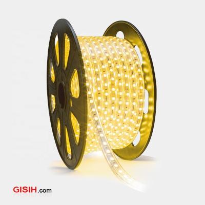 China Garden factory price 12V 5050 chip 3000k competitive high quality flexible outdoor led light strip for sale