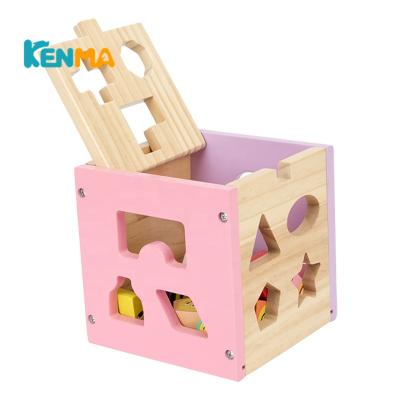 China Wooden puzzle 15*15*15 from cube to infinite cube to 1kg tungsten cube for sale