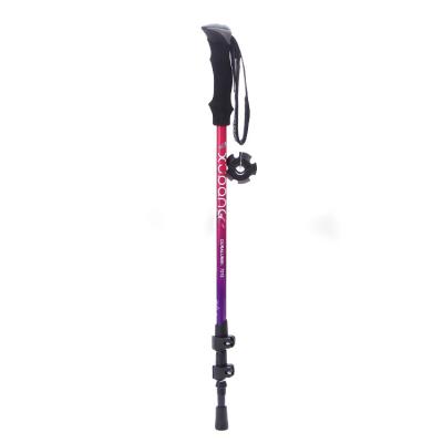 China Sale Adjustable Breathable Warm Winter Elasticity Walking Canes Increasing Trekking Pole Stick for sale