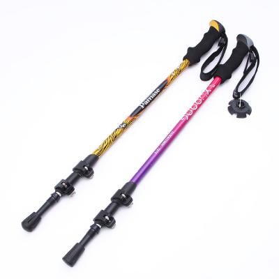 China Adjustable Breathable Ultralight Shock Absorbing Elasticity Trekking Pole Pole With Carry Bag For Women And Accessories Men for sale