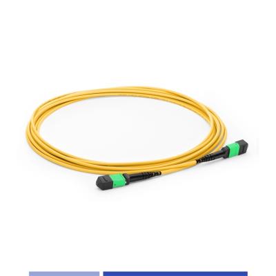 Cina 12 Core MTP® Fiber Optic Patch Cord Female Single-mode G652D 1m Fiber Patch Cables in vendita