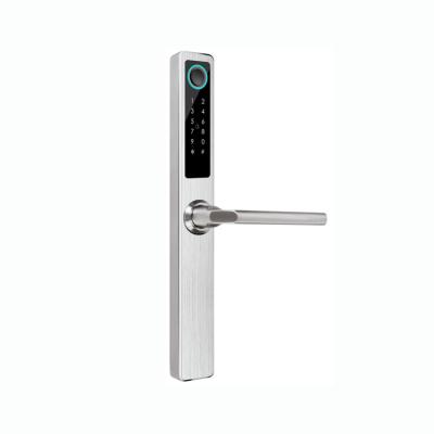 China Desktop Stainless Steel Advanced Fingerbrush TTLock Smart Lock Sliding Open Fingerprint Lock for sale