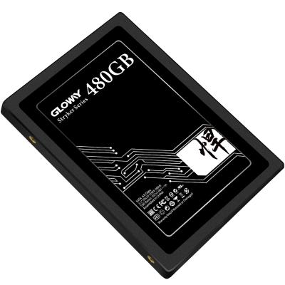 China Gloway SSD OEM 2.5