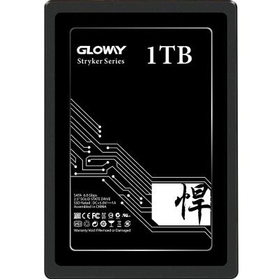 China 2018 Hot Sale 1tb SATA OEM SSD 2.5