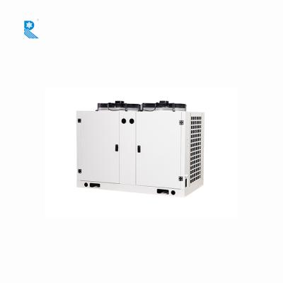 China RUIXUE 10HP/15HP/18HP/25HP Box U Type Process Cooling Condensing Units Air Cooled Freezer R404A for sale