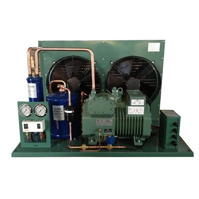 China Refrigeration Parts RUIXUE Factory Wholesale Condensing Unit 5hp R404/R134a/R22 Compressor Units Cooling Equipment For Room Chiller for sale