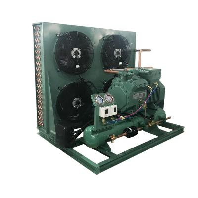 China Hotels RUIXUE R404A 9hp Compressor Unit 4TES-9Y Cold Storage Condensing Refrigeration Unit for sale