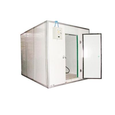 China Hotels RUIXUE Manufacturer Walk Cold Fish Storage Freezer Cold Room for sale