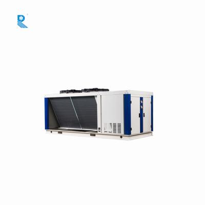 China HVAC RUIXUE V Type Evaporator And Compressor Condenser Industrial Refrigeration Equipment For Cold Room for sale