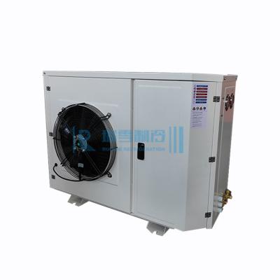 China RUIXUE Cold Room Condensing Unit for Cold Room Air Cooled Mini Refrigeration Condensing Unit RX-FNL-02MH for sale