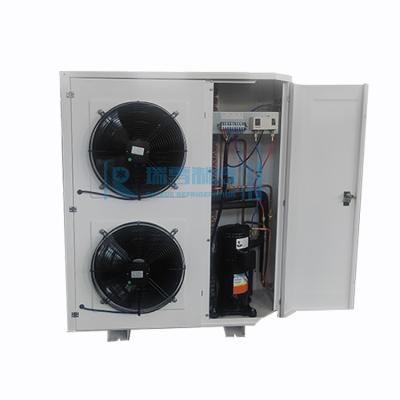 China RUIXUE RX-FNL-05MH Unit Refrigeration Cold Condensing Condensing Unit For Cold Room Condenser Unit for sale