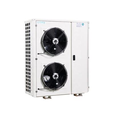 China RUIXUE Hotels Refrigeration Condensing Units for Industry and Commercial Freezer for sale