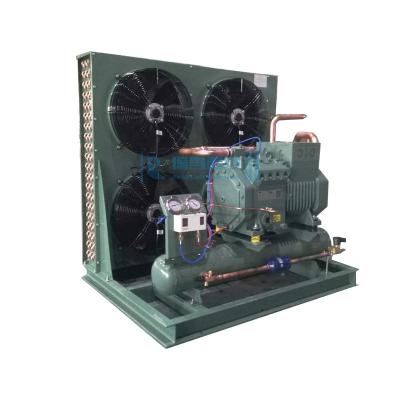 China +5~-15 Degree Ruixue Open Type 20 HP R404A 4NES-20Y Piston Compressor Condensing Unit For Freezer Room Refrigeration Cold Storage for sale