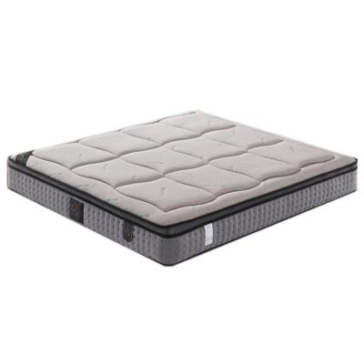 China New Style Massage Pocket Spring Latex Mattress Single King Spring Fit Mattress for sale