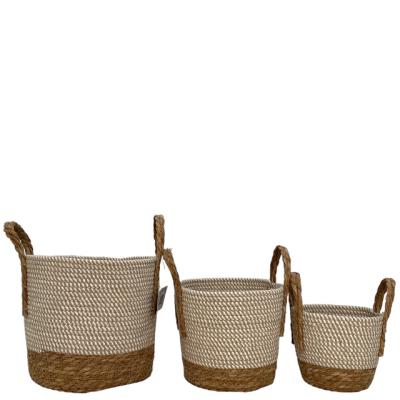 China Sustainable Hot selling home decor storage craft basket of  cotton rope cattail grass basket with two handle  made in China for sale