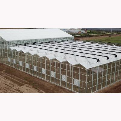 China High strength cheap greenhouse agriculture greenhouse made in china for sale