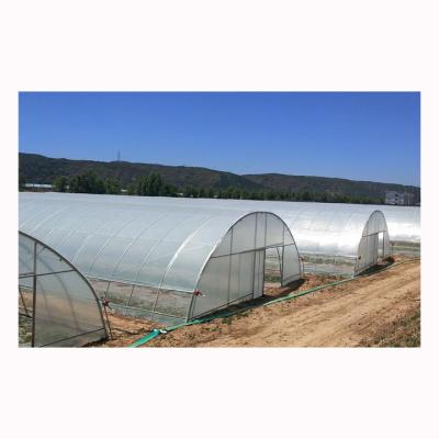 China High Strength Single-span Agricultural Seedling Greenhouses Lightweight Low Cost Deprivation Blackout Greenhouse for sale