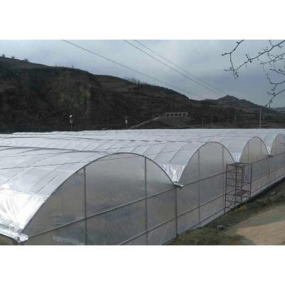 China High strength greenhouses for agriculture for sale